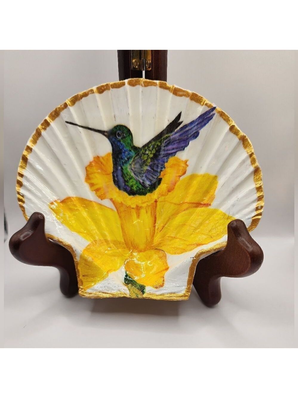 SCALLOPED FAN SHELL 